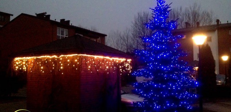 Iluminacje świetlne, dekoracja świąteczna ogrodu