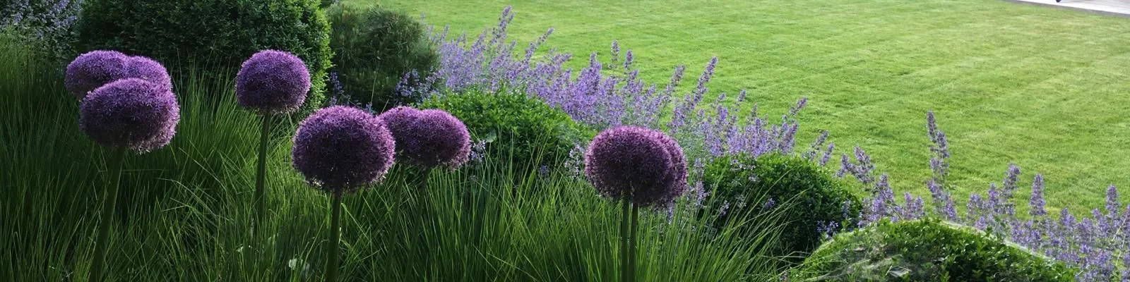 Usługi ogrodnicze w Warszawie, ogród przy domu z kwitnącymi kwiatami