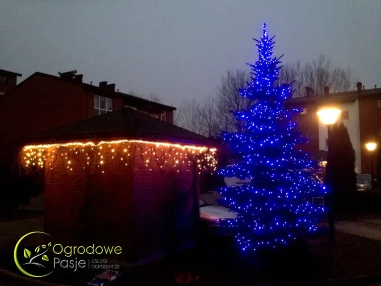Iluminacje świetlne, dekoracja świąteczna ogrodu