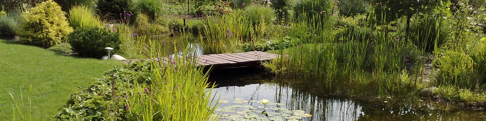 Usługi ogrodnicze w Warszawie, całoroczna pielęgnacja zieleni w ogrodzie